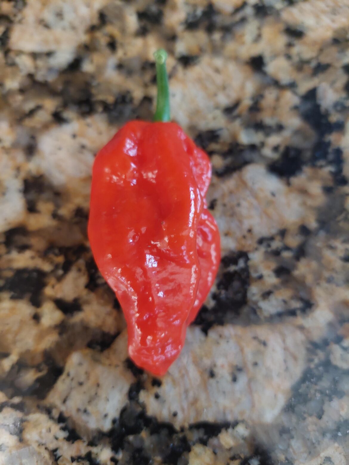 First pepper.