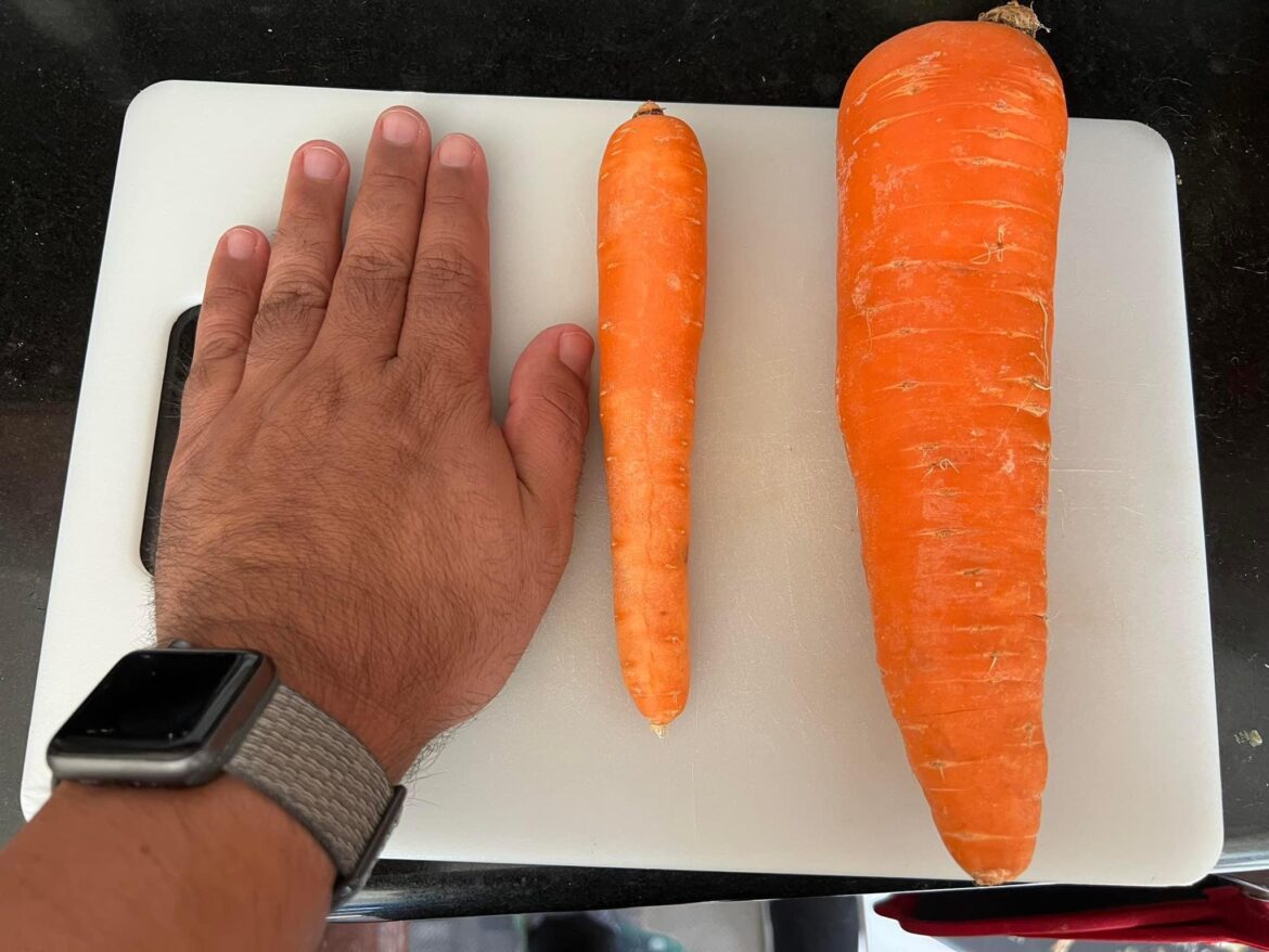 Mega carrot