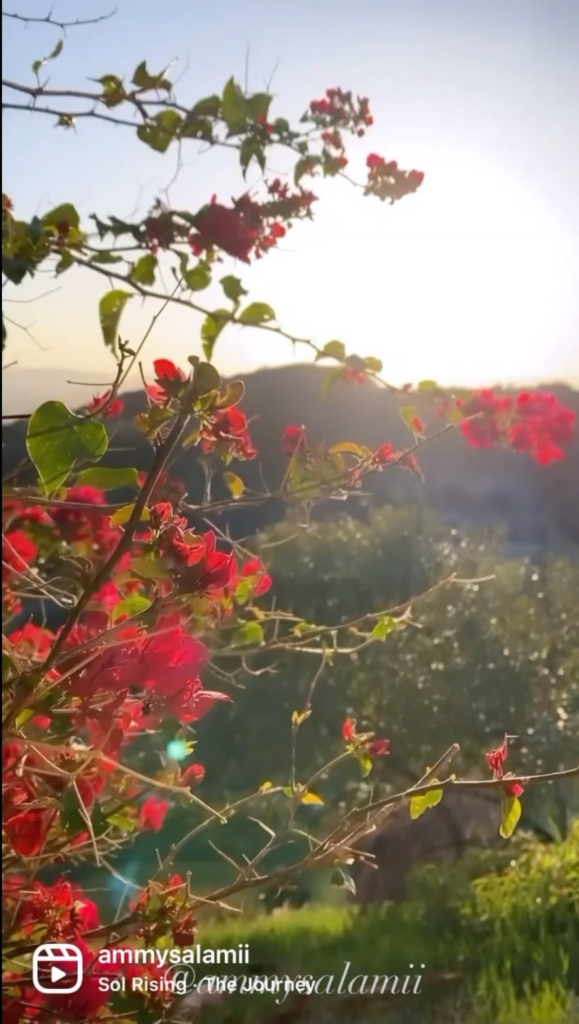 (OC) Dinner at The Castaway in Burbank