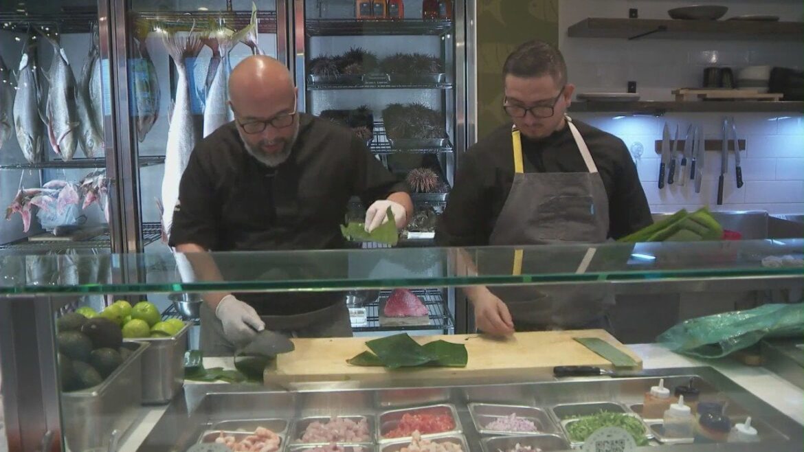 Holbox chosen as L.A. Times’ 2023 Restaurant of the Year