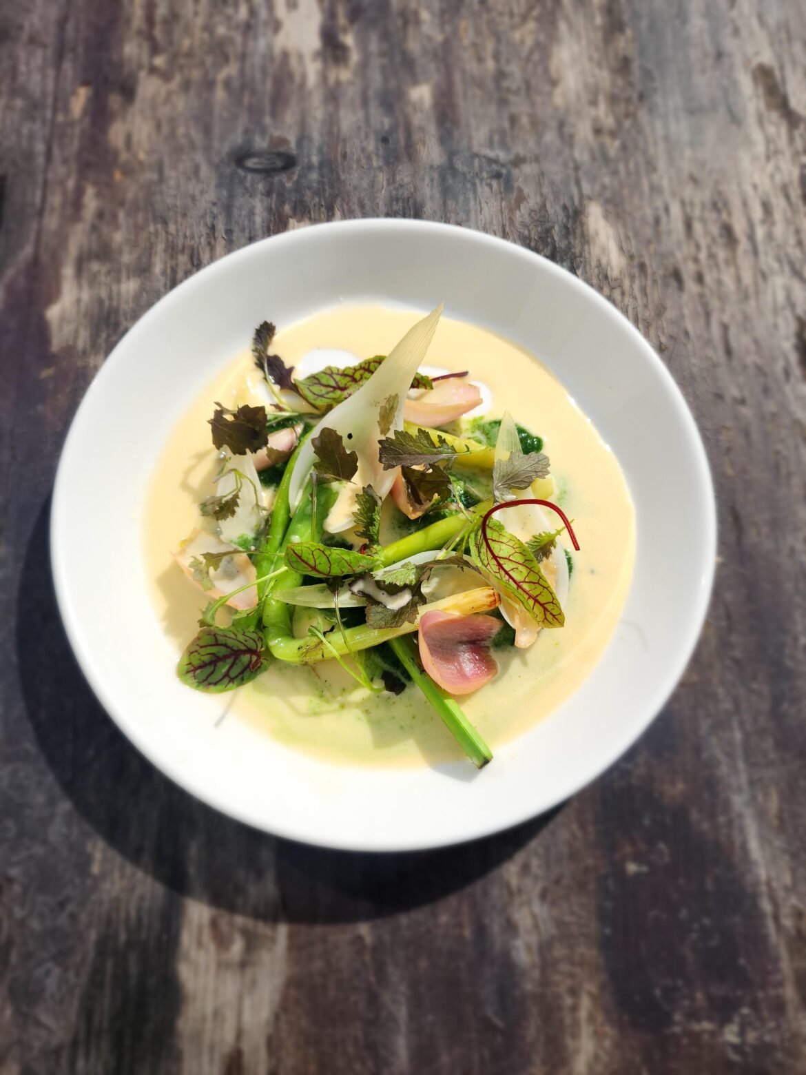 Alliums: grilled japanese leek, embered spring onion, pickled shallot, onion green/cilantro puree, katsuobushi butter