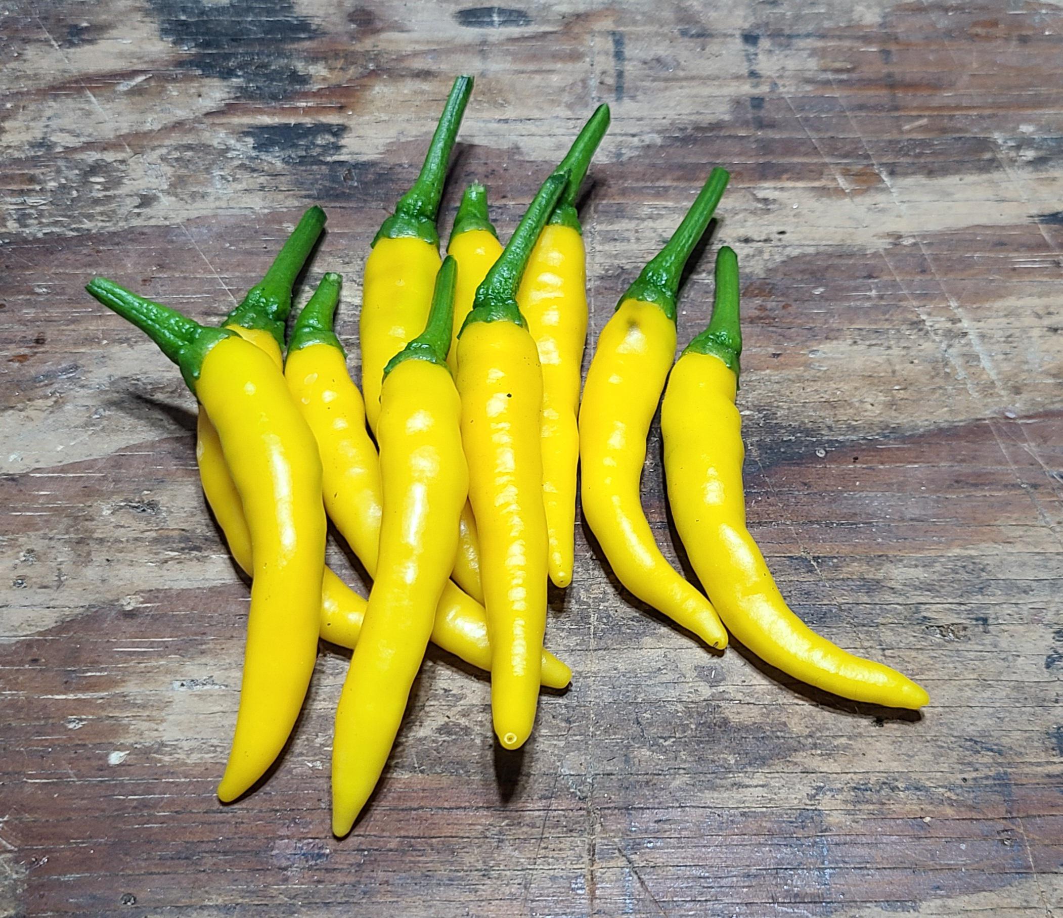 Thai Pepper Warner Robins - 5a3lzw3