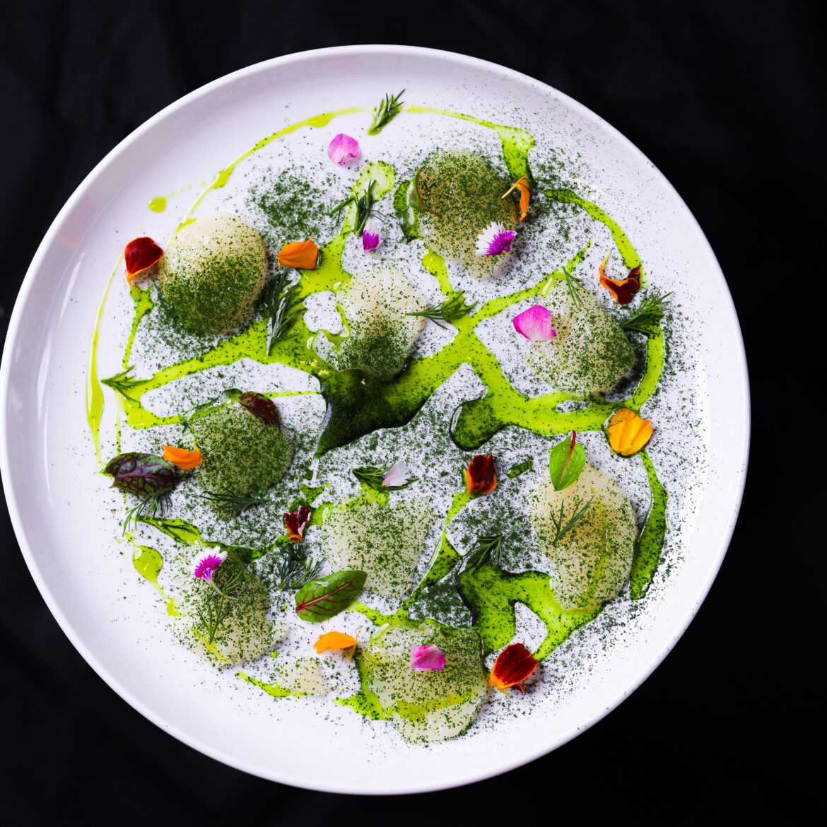 Fig leaf cured scallops, fig leaf powder, parsley and lemon oil