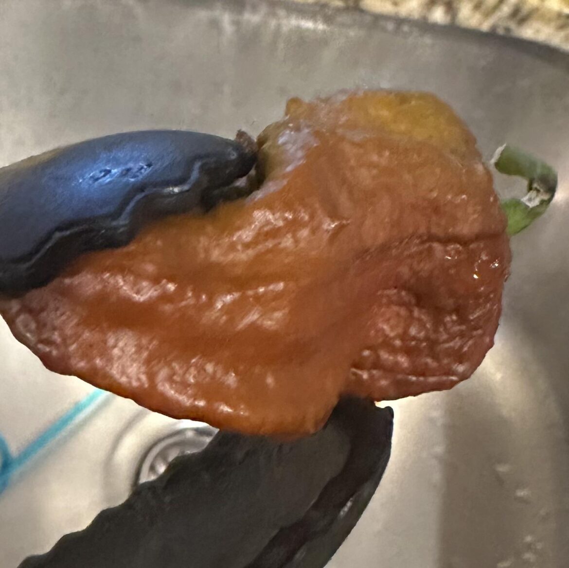 What is this spawn of satan I have just eaten? I took one sliver and my mouth was immediately on fire.