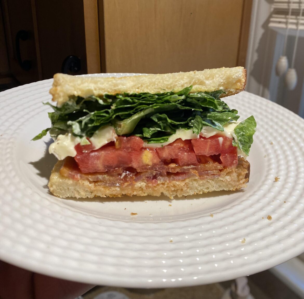 Probably the most photogenic sandwich I’ve ever made. BLT+Brie