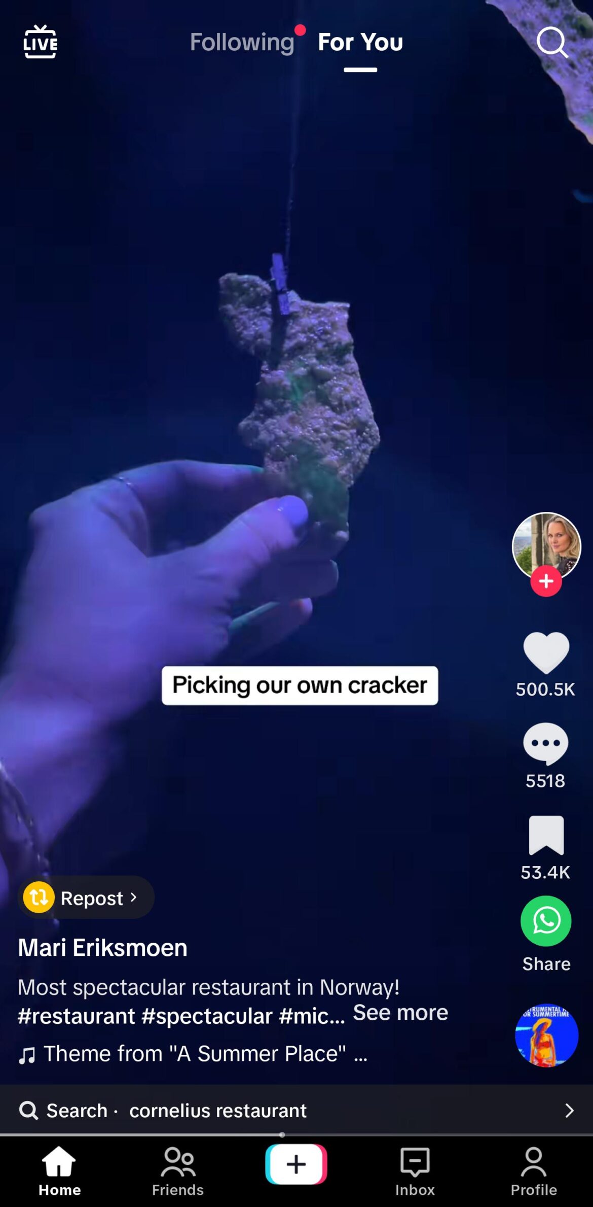 18 courses at the restaurant in this TikTok and there might've been one plate