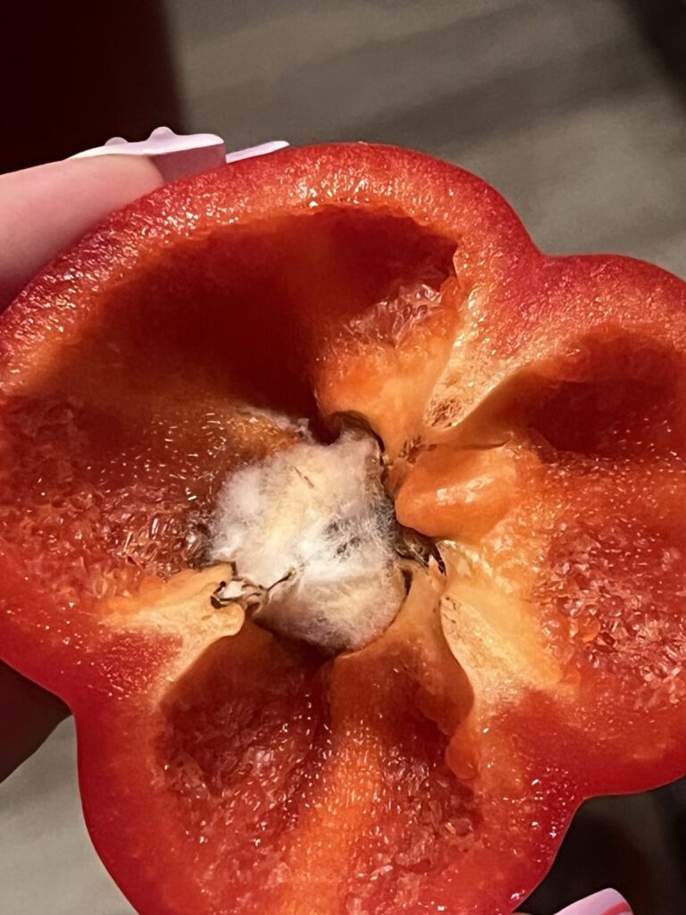 Moldy Bell Pepper :(