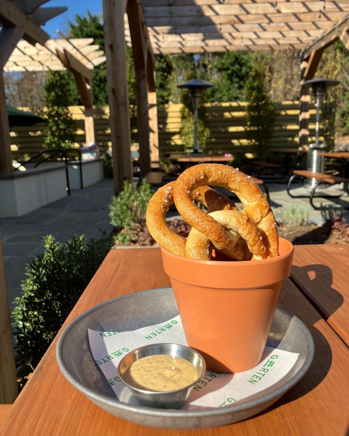 Terracotta pot in Annapolis, MD