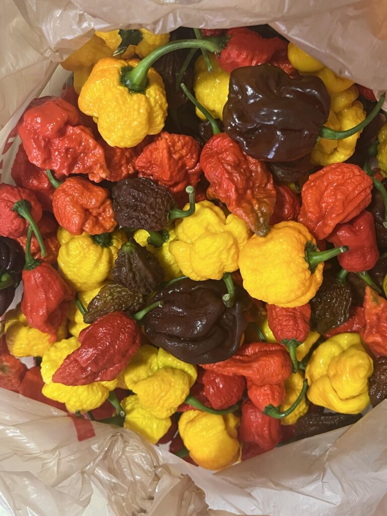 Do I need to worry about fumes if I roast some of these to make sauce? Idk what to do with all them.