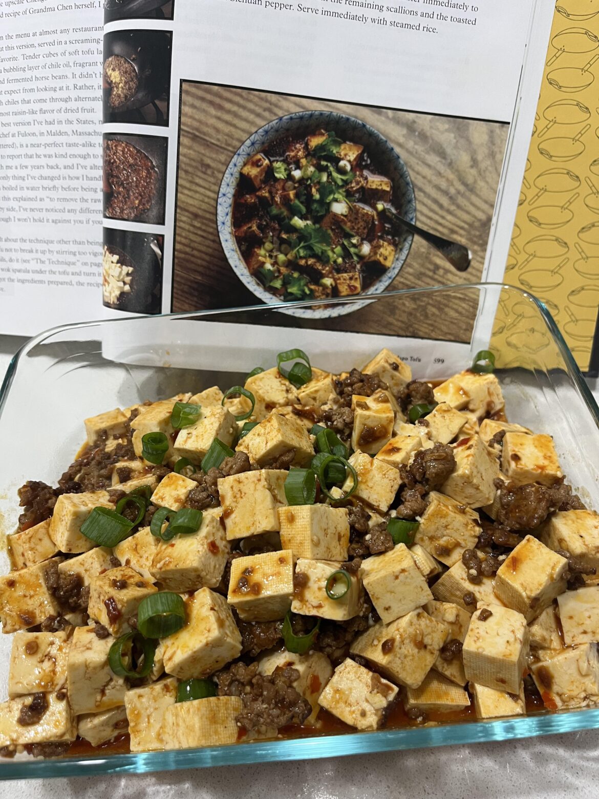 Mapo Tofu reporting for duty