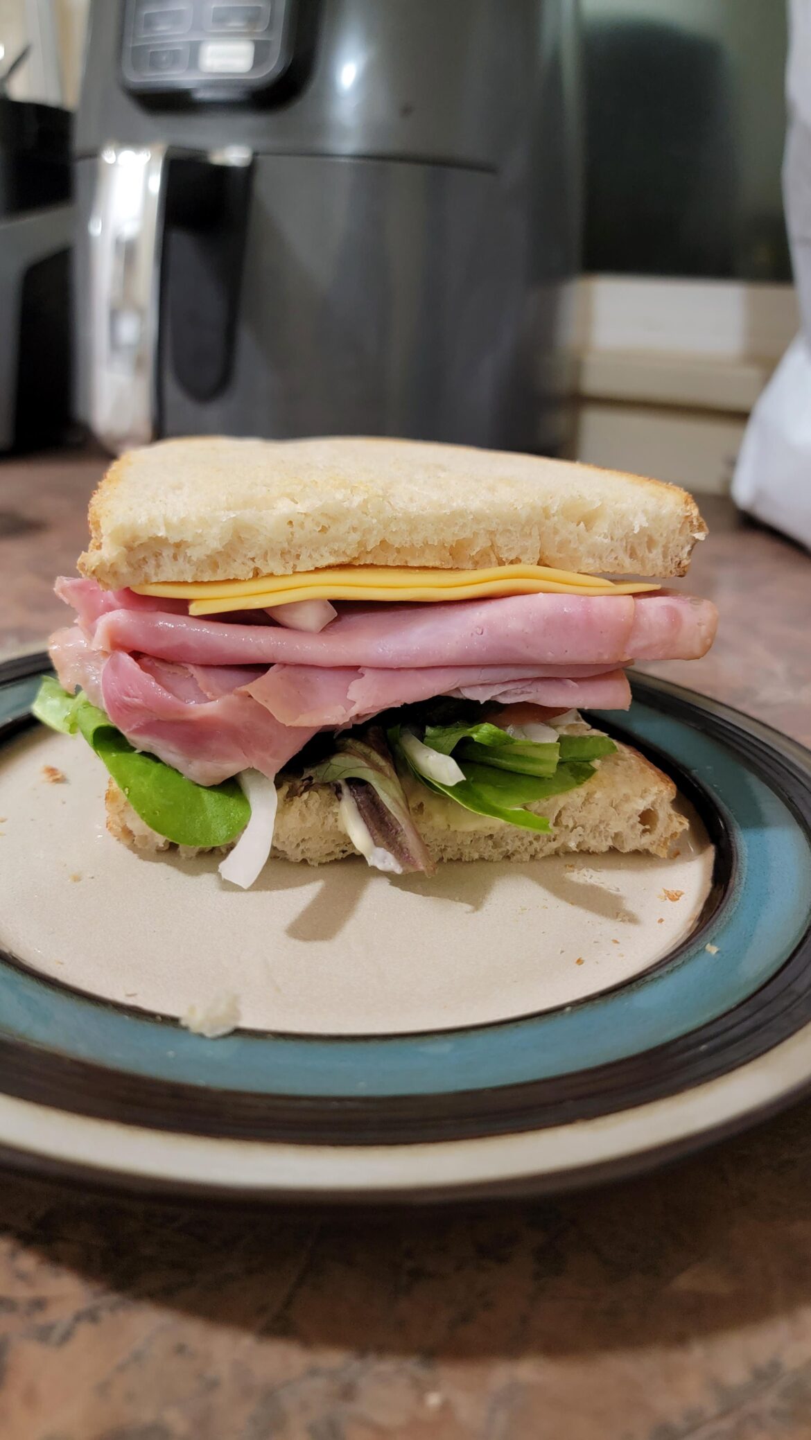 ham and cheese (with fixins) on lightly toasted sourdough