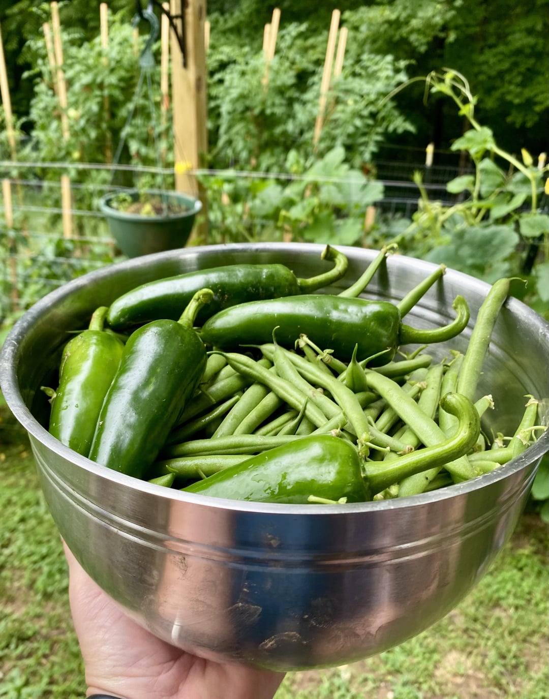 Beans and Jalapeños Dining and Cooking