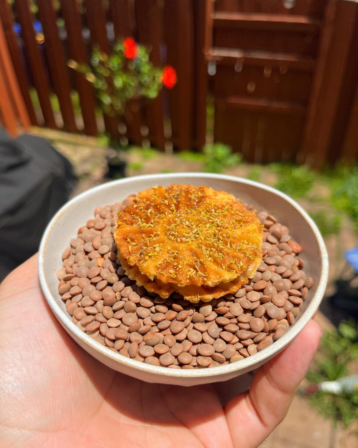 Chicken and Waffles: Brown Butter Stroopwafel, Maple Cream, Crispy Chicken Skin, Fennel Pollen
