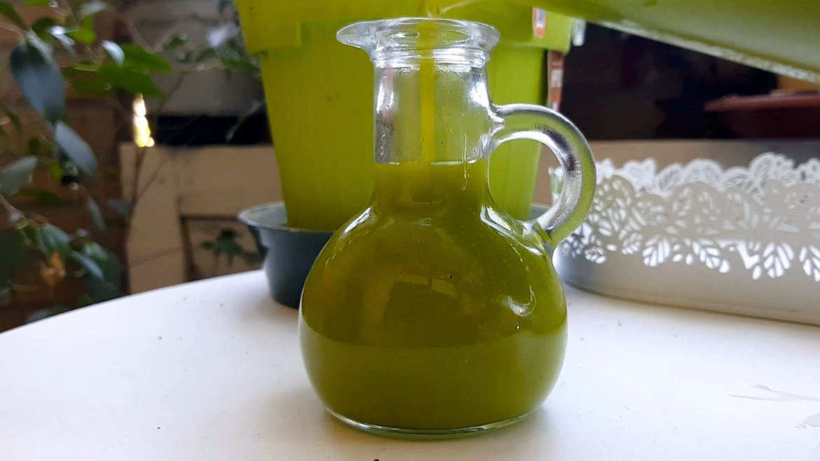 Basil on the table all year available - Basil Olive Oil recipe by Vito Chef Salerno, Italy