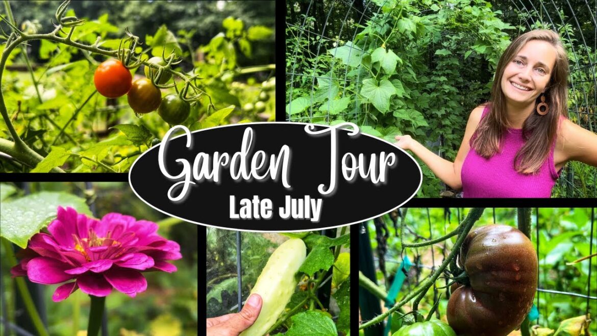 Vegetable Garden Tour | 2023 Tour #8 | July 2023 Vegetable Garden Tour | 2023 Tour #8 | July 2023