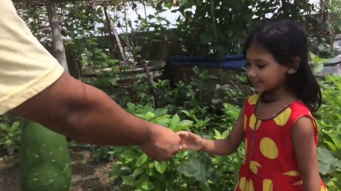 ছাদে সবজির বাগানে অসময়ে লাউ। Seasonal gourds in the rooftop vegetable garden