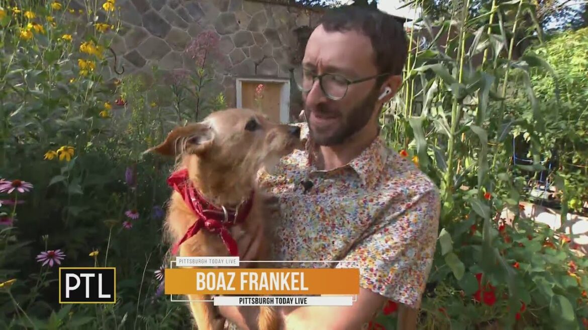 Still time to grow veggies in your garden