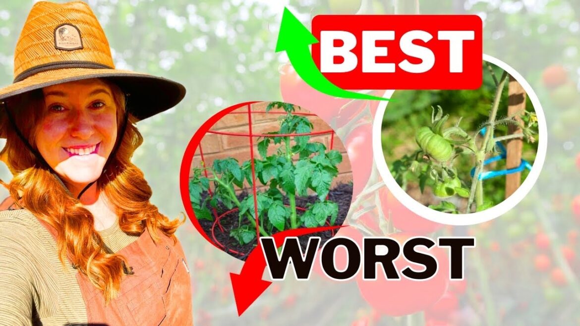 Selecting A Trellis For Garden Vegetables! It REALLY Changes Everything. Selecting A Trellis For Garden Vegetables! It REALLY Changes Everything.