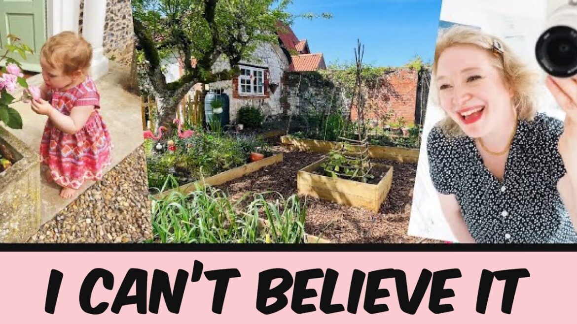 Vegetable Garden update!!!! We made a PUMPKIN PATCH!!!! Vegetable Garden update!!!! We made a PUMPKIN PATCH!!!!