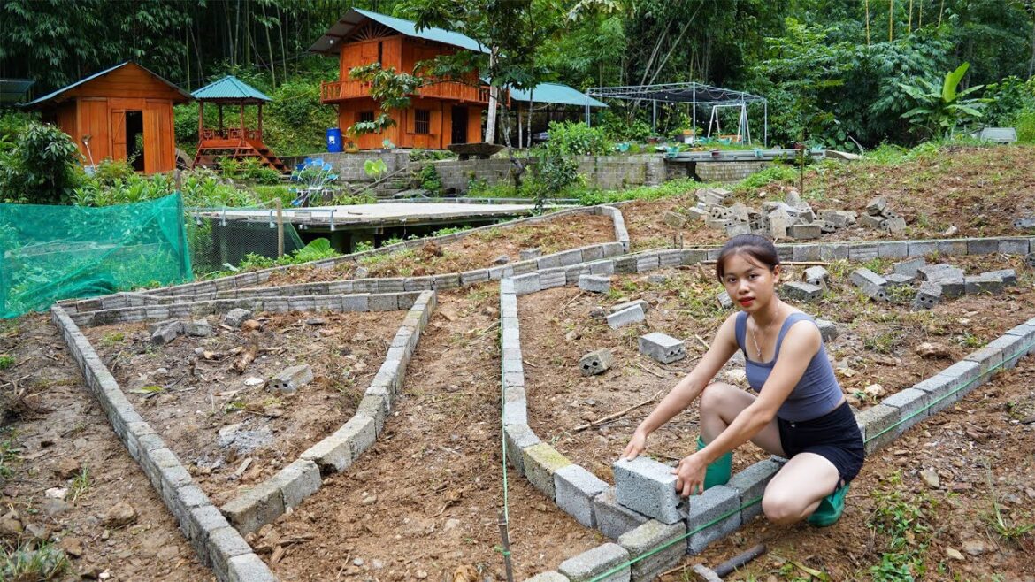 Build a vegetable garden, repair a farm - build a farm