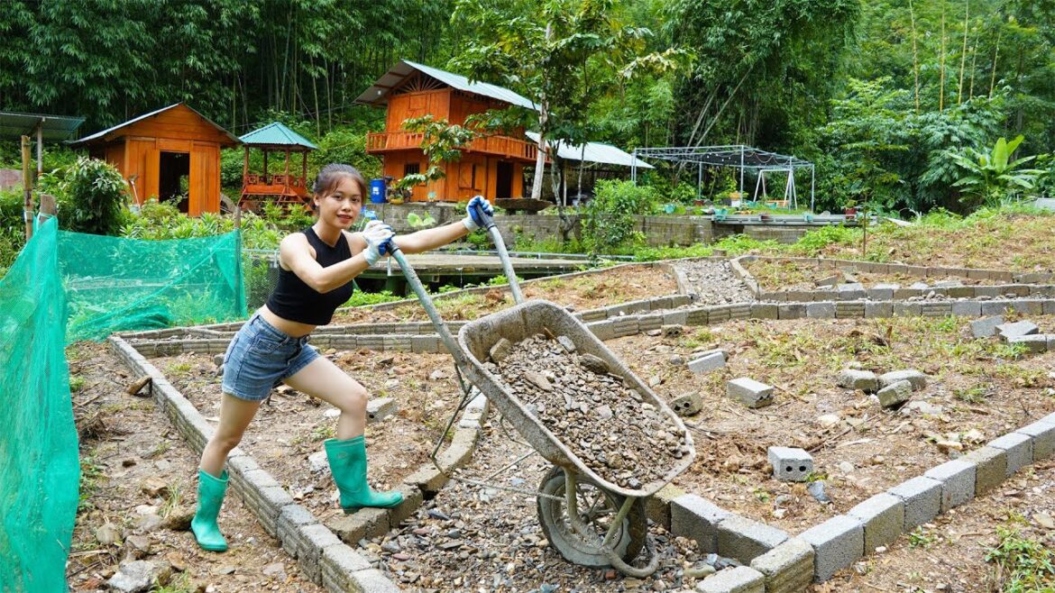 Build a vegetable garden, repair a farmhouse - build a farm