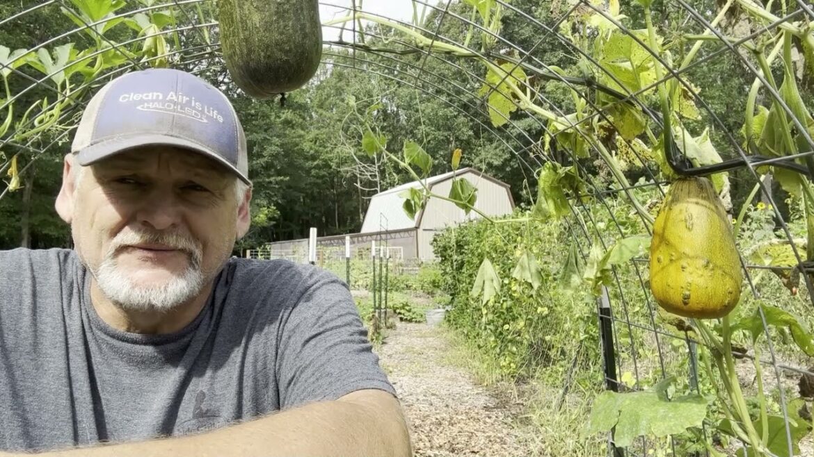 5 Reasons to grow a vegetable garden