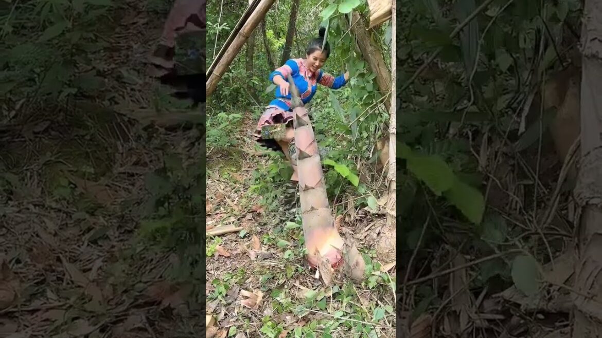 #reels #vegetablefarm #gardenlife #nature #satisfying #vegetablegarden #vegetable#vegegarden #garden