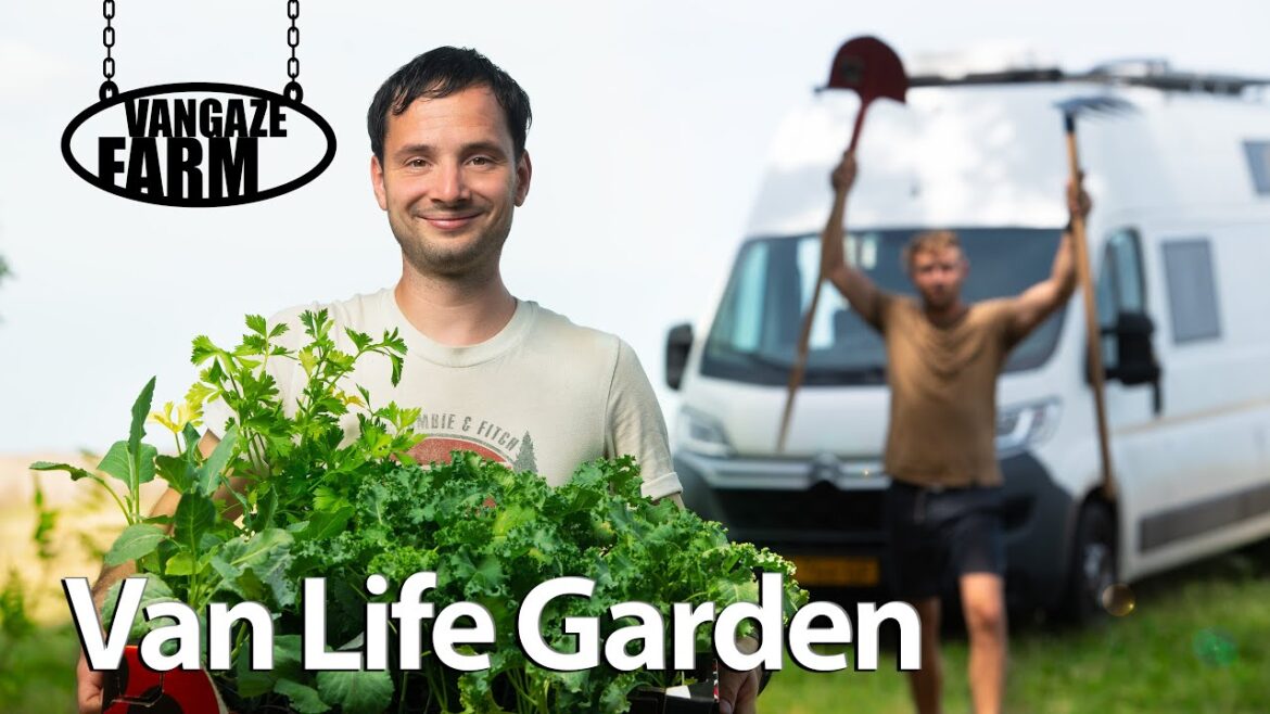 Making a Vegetable Garden in the South of France; The Best Garden Ever