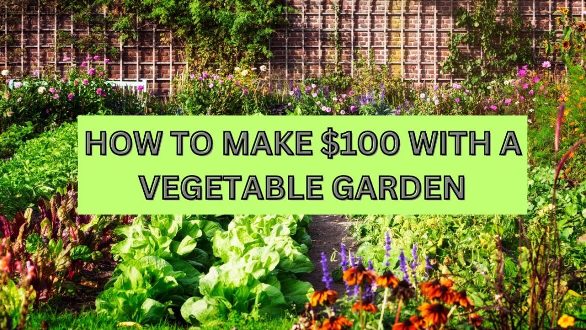 Make $100 With A Vegetable Balcony Garden!