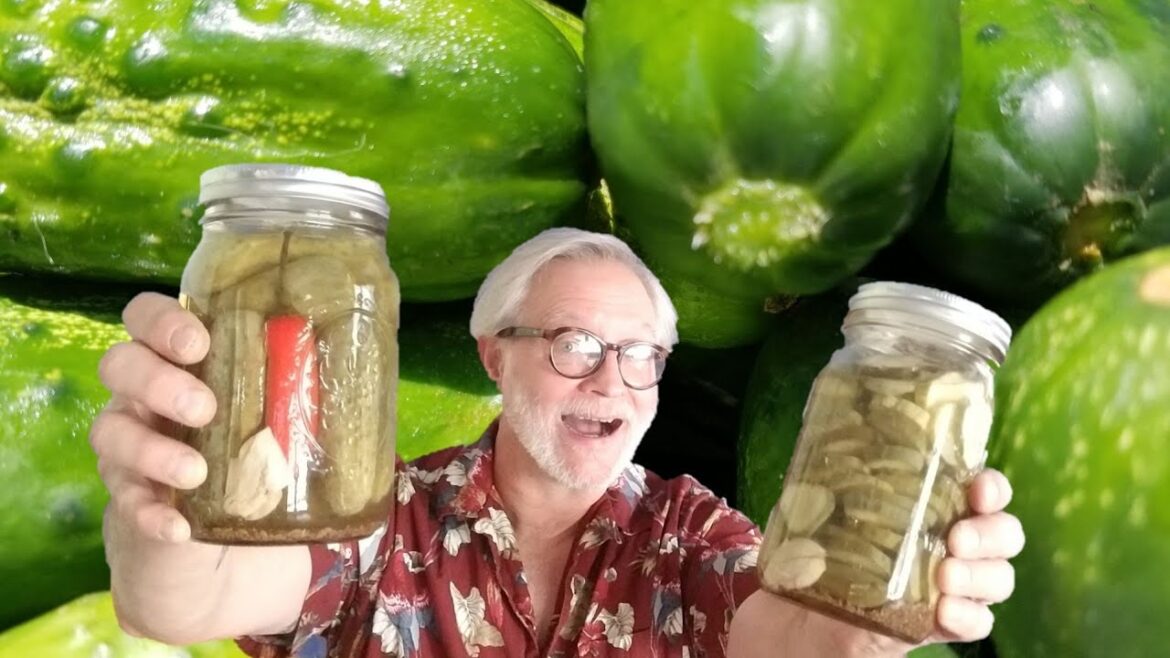 KOSHER DILL PICKLES: CLASSIC DELI SIDE HOMEMADE:  KETO &  LOW CARB