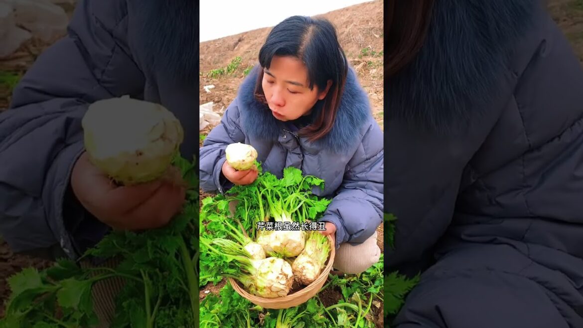 I growing vegetables at home by meimei #gardenlife #short