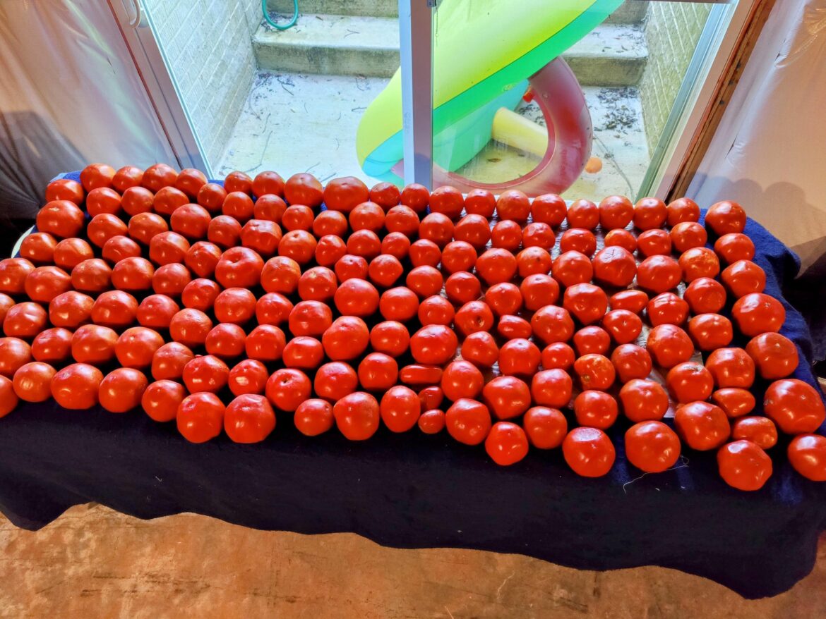 38qt Spicy Tomato Juice