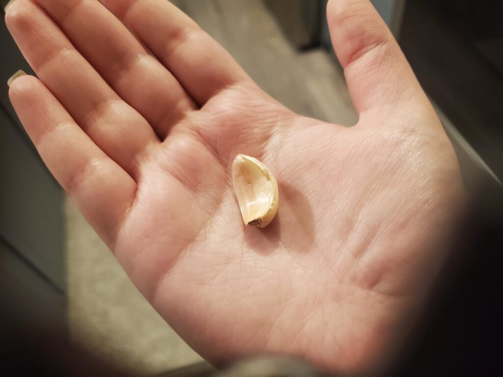 They've gotta be trolling at this point