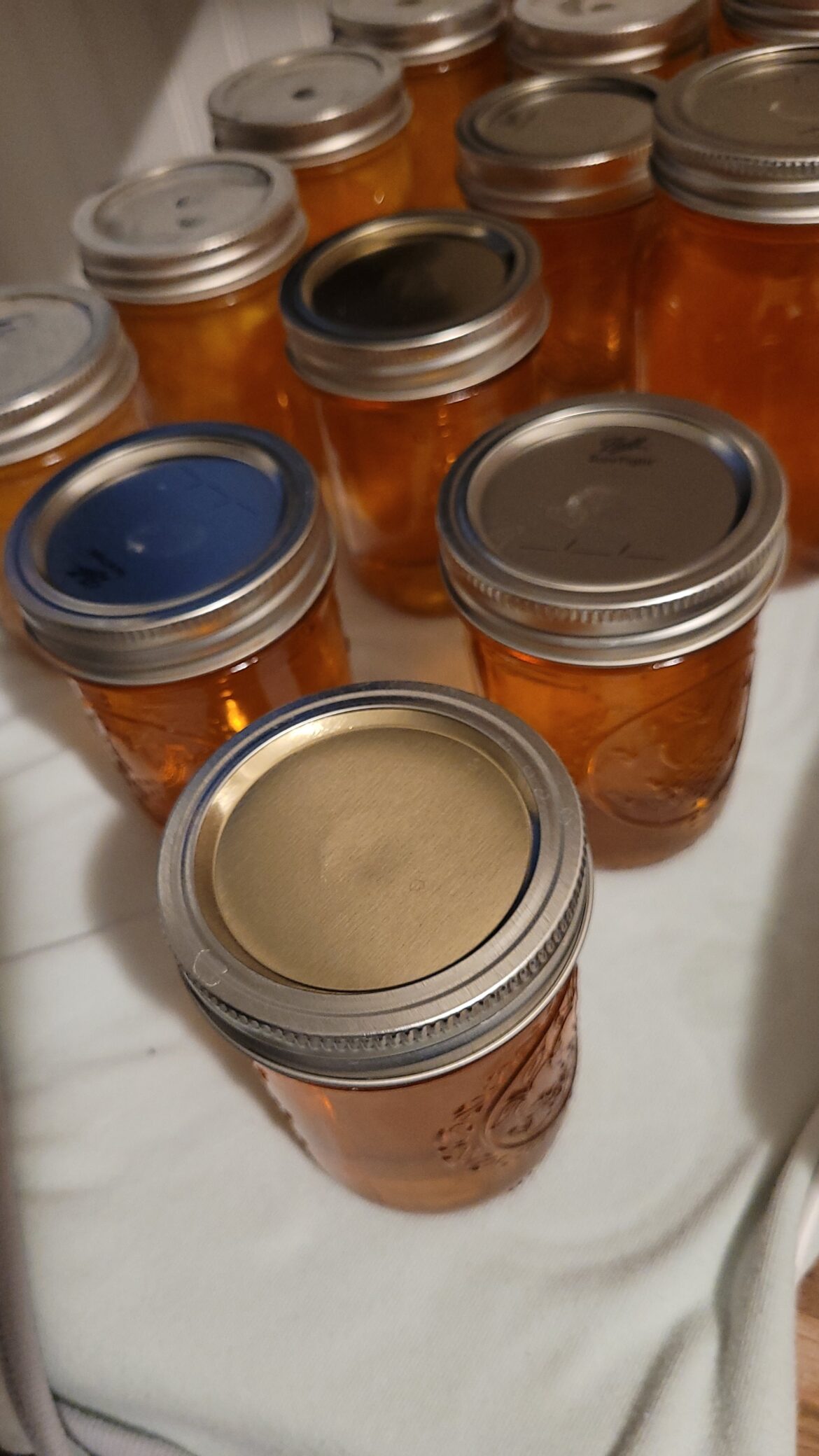 Water didn't cover the whole time