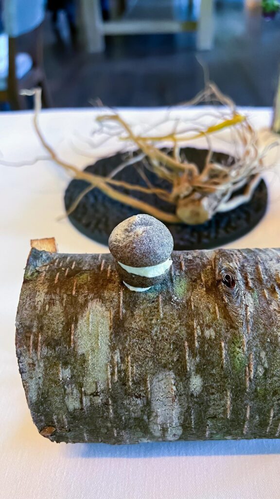 Birch bark and mint (cookie on a log)