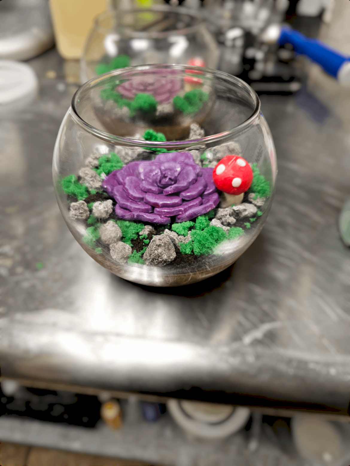 Chocolate pot de creme, chocolate rocks, modeling chocolate succulent/mushroom, and sponge cake