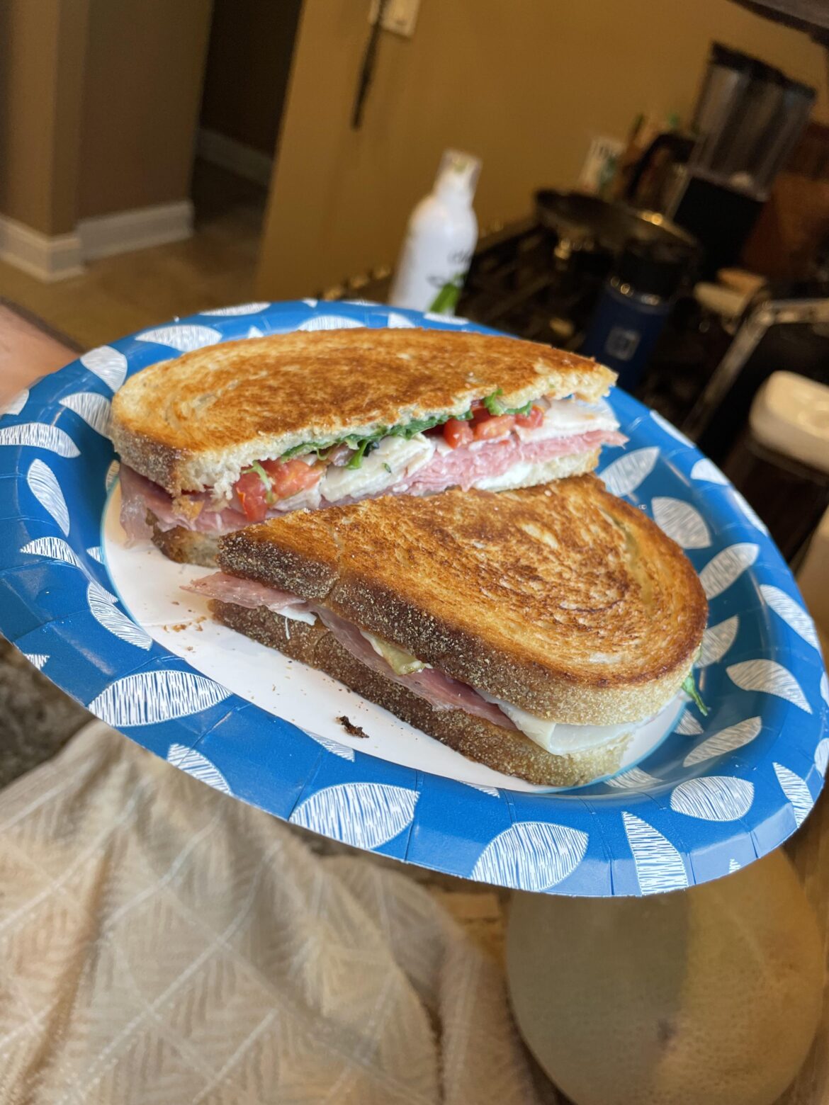 Turkey, Salami, and fresh mozz on toasted rye