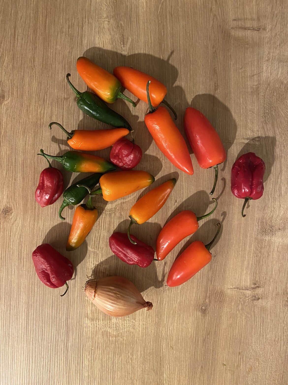 Can you please help me identify those peppers? green & orange jalapeños and red Savina habaneros, maybe? Or maybe not? My father got them from someone he knows. Thanks!