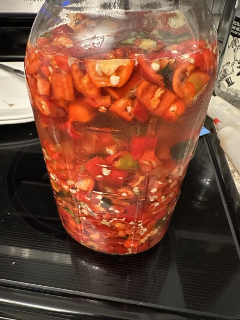 Another fermentation in the works, about 30 different peppers from my garden