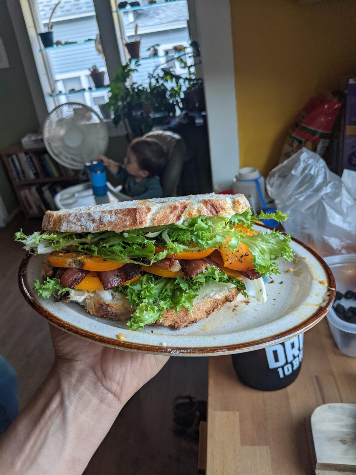 Seen too many pictures of BLTs I just had to share