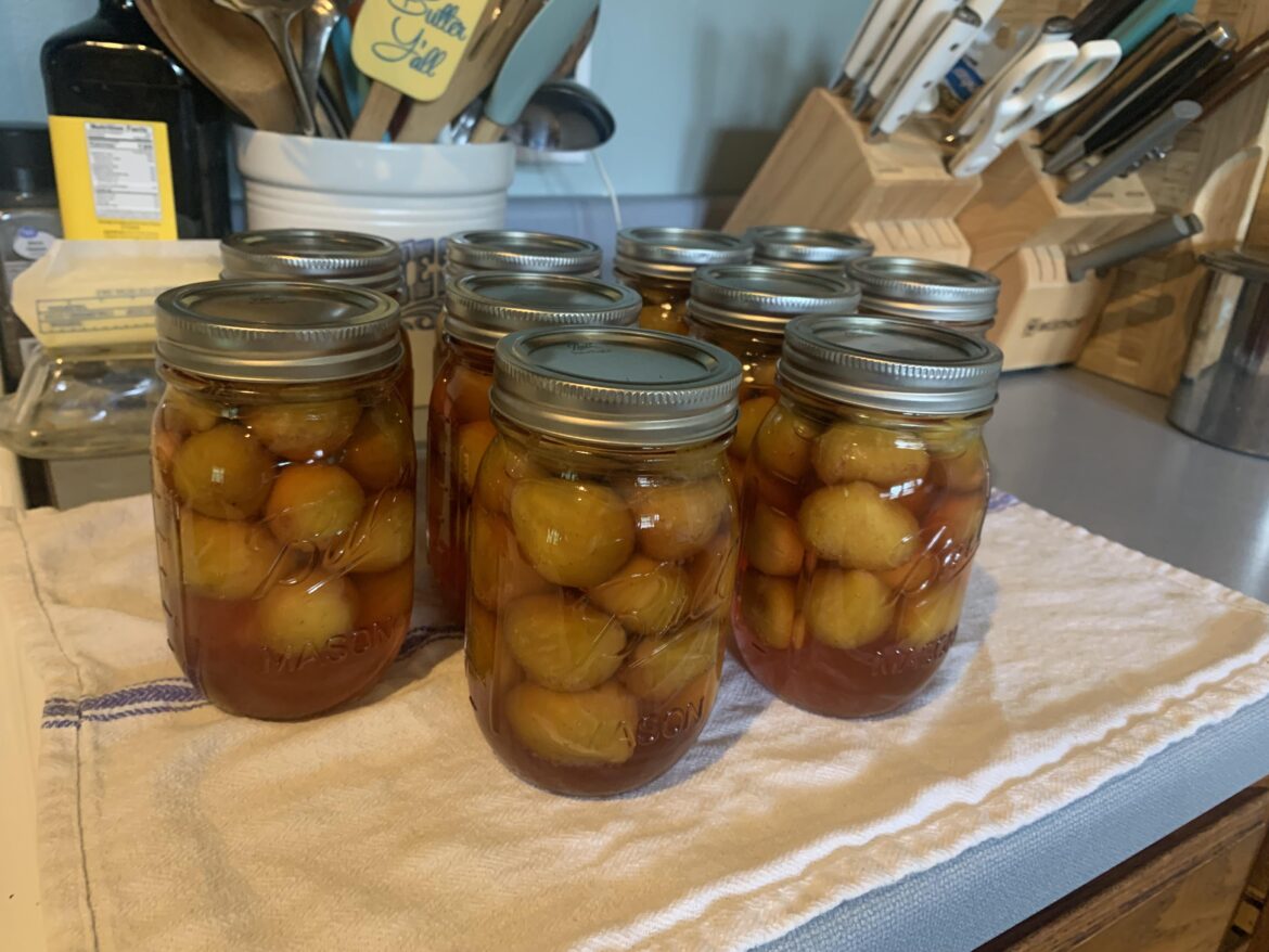 Figs in simple syrup