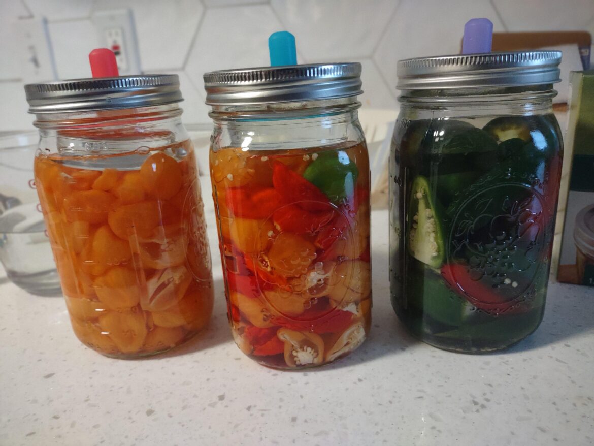 It Begins, fermentation of peppers!