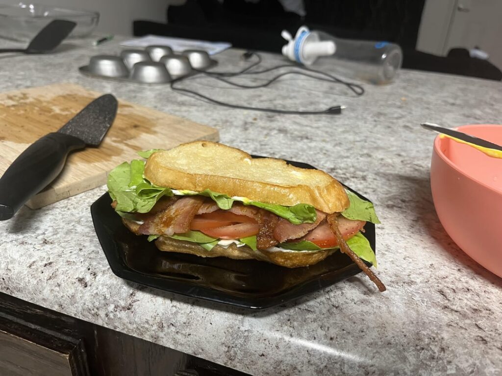 Blt I made a few weeks ago.