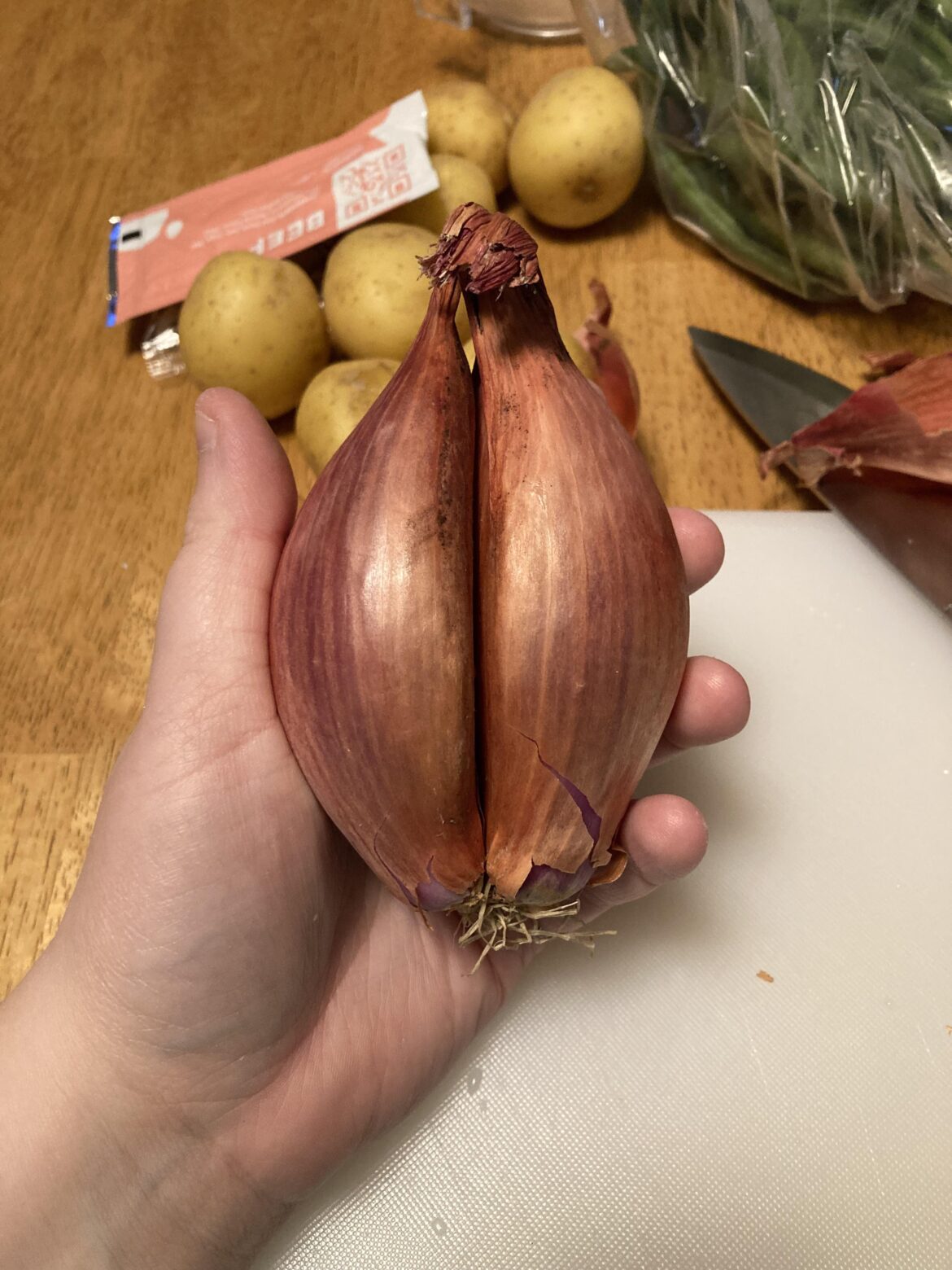 Look At The Size of This Shallot!!!