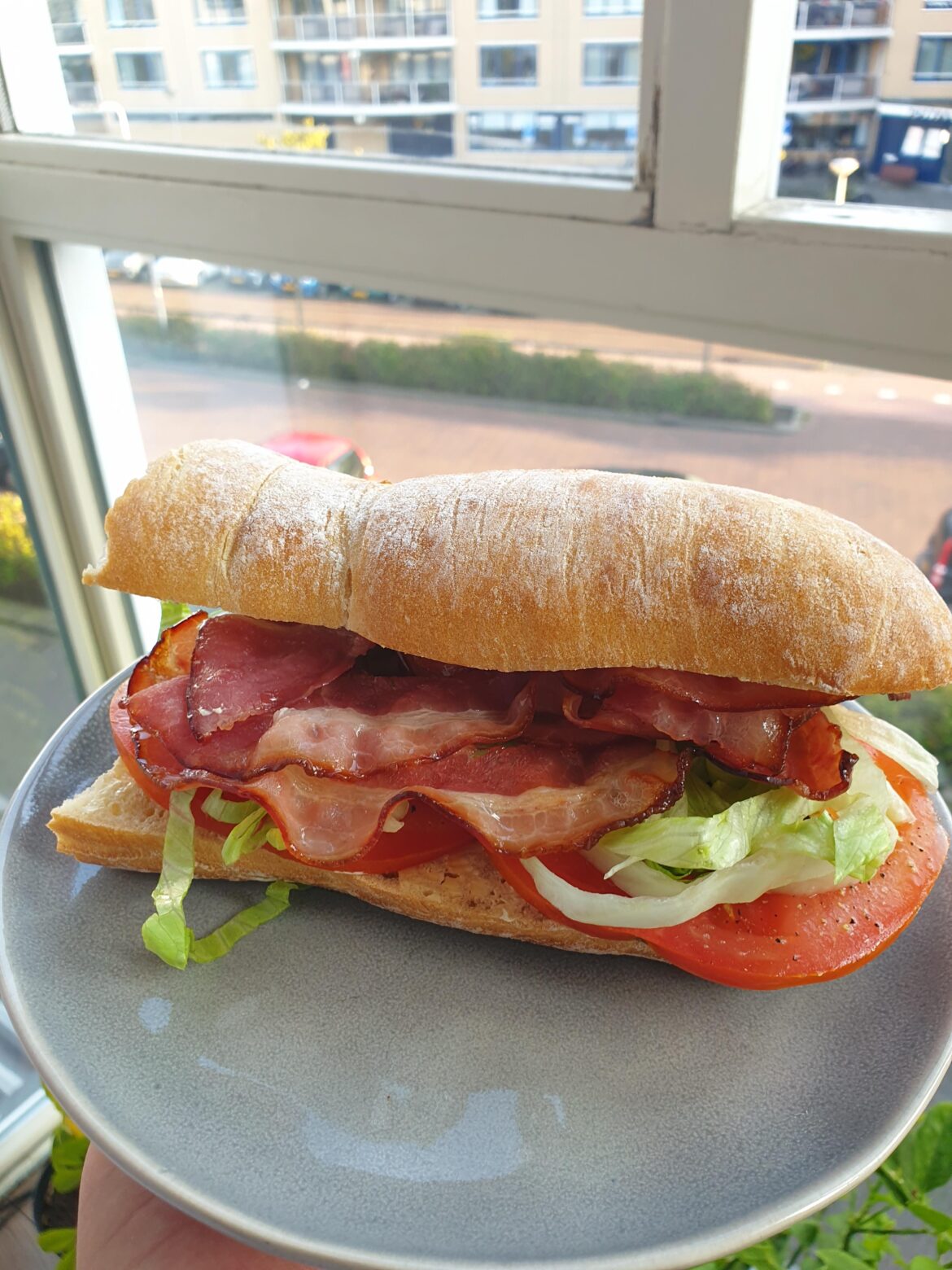 Blt sandwich