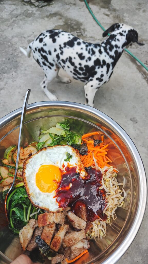 Bibimbap for lunch and gimbap for dinner