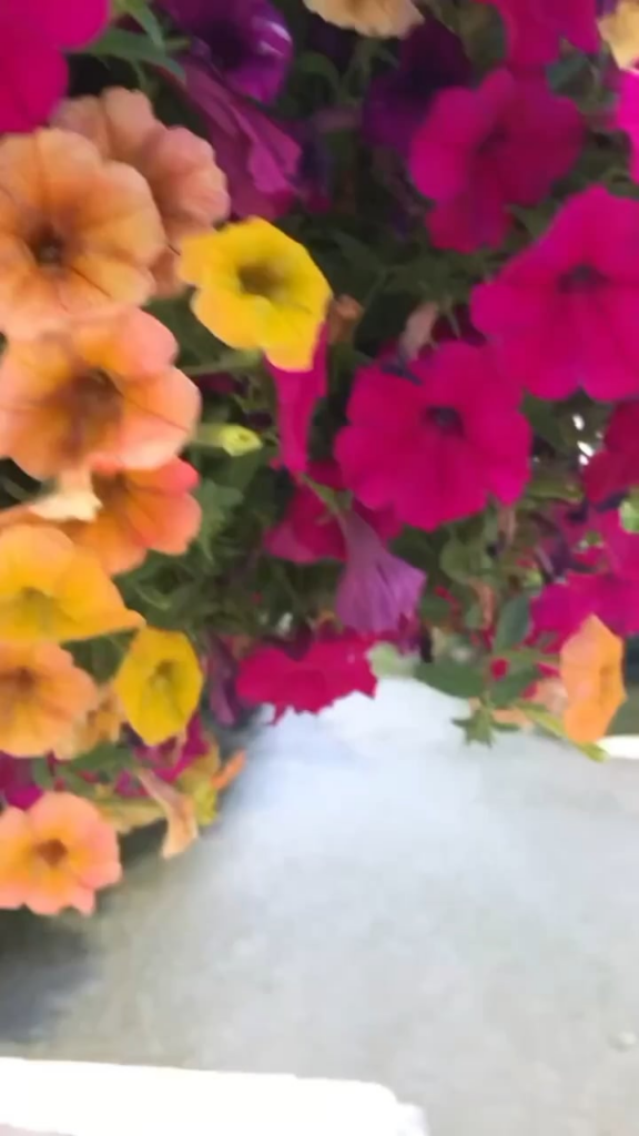 Trying out the highest rated coffee shop (Google reviews) in Aurora, IL - Society 57.