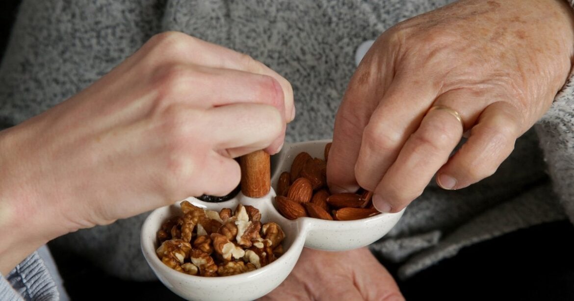 A Plant-Based Diet High In Nuts Lowers Parkinson’s Risk by 31 Percent, Study Finds