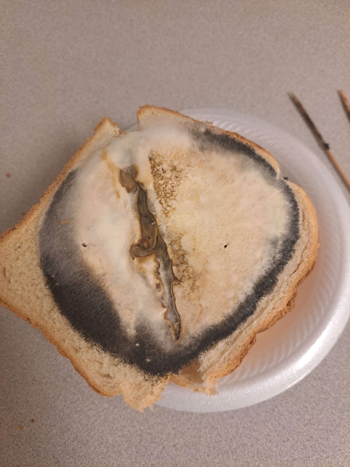 Signature 30 day aged ham sandwich