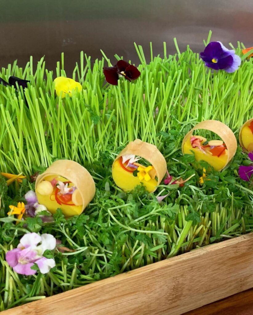 curried corn panna cotta, crispy parsnip ring, chili curl